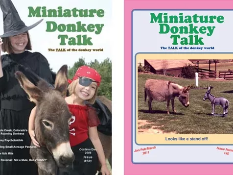 Bizarr magazinok a világból