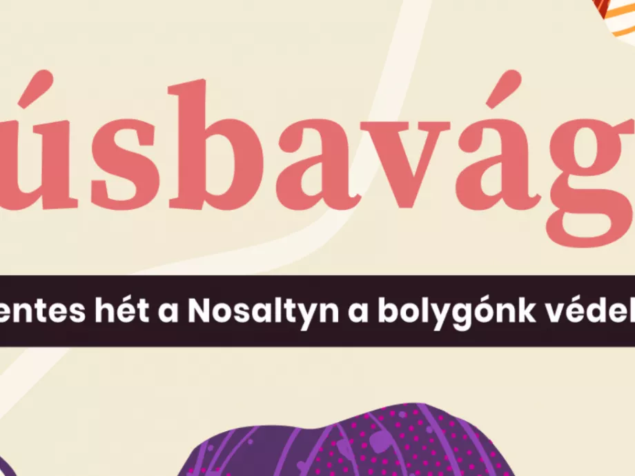 Sorompó mögé teszi a saját húsos receptjeit a Nosalty