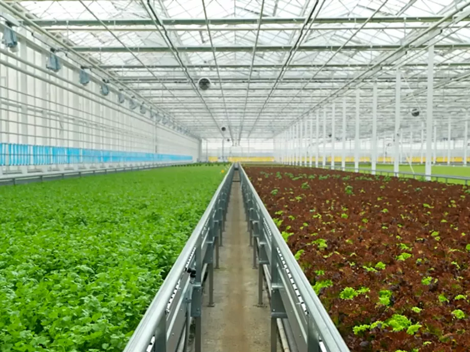 Az Eisberg Hungary Kft. mostantól a Green Factory tagja