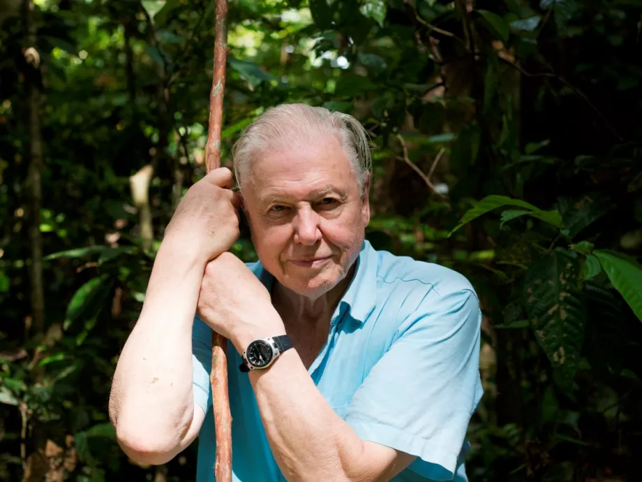 David Attenborough-t ünnepli a Spektrum