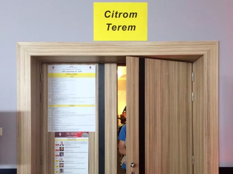 Ha a pénz kimegy külföldre, nem hozzuk vissza soha