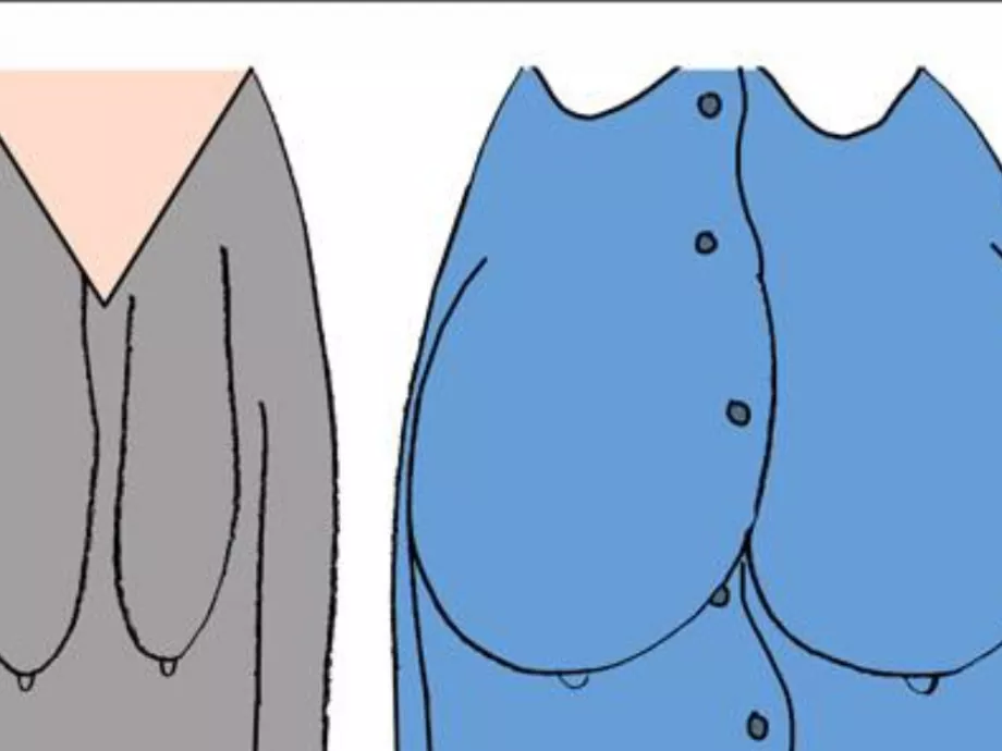 Karikatúra vs. bodyshaming - lógó mellekről folyik parázs vita a HK-mémháború egyik lövészárkában
