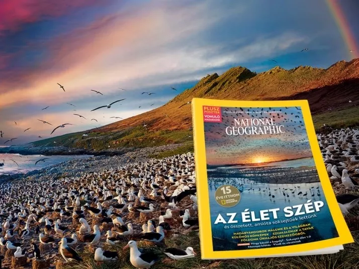Idén is a Central vitte a magazinpiac első félévét