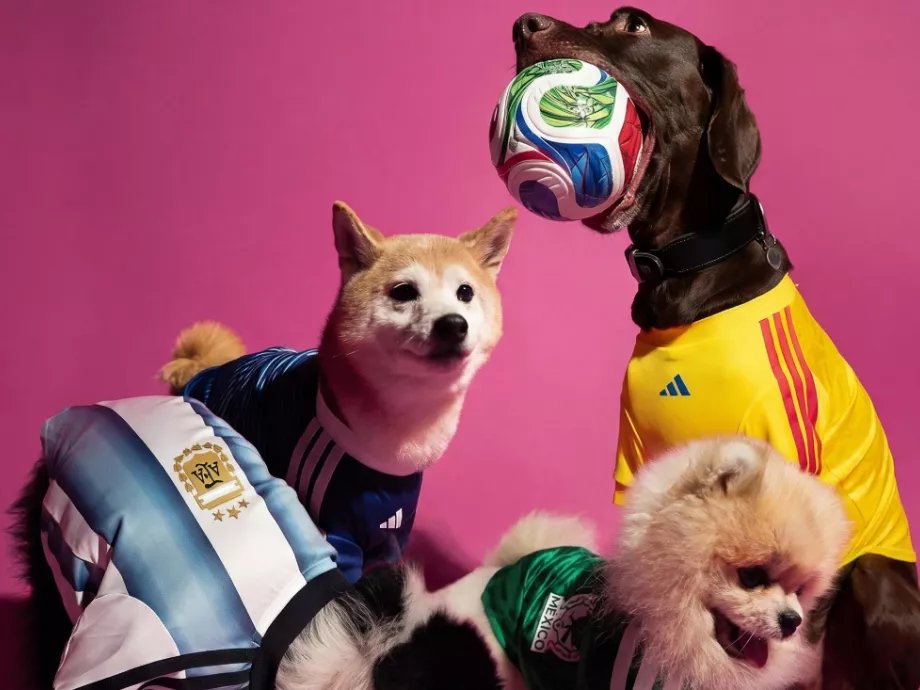Kisállatmez-kollekcióval újít a foci-vb-re az Adidas
