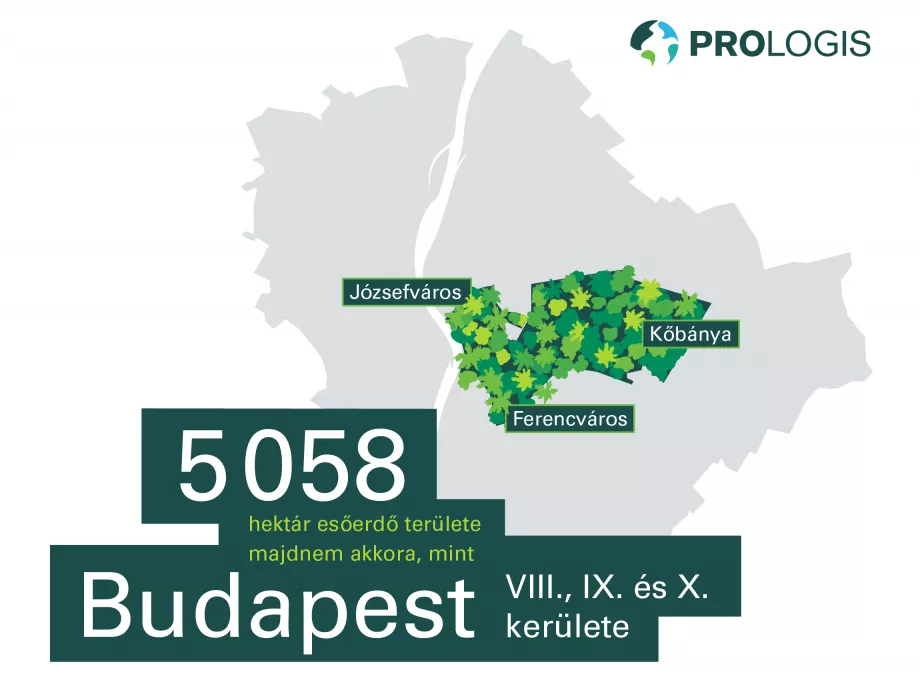 Vállalati együttműködések a CO₂-csökkentésért