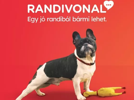Kutyasétáltatós vagy teniszmeccses randi? Miért ne?