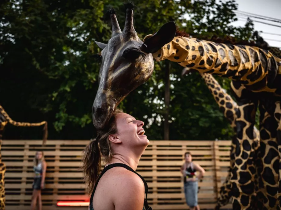 Ilyen volt a Sziget – képgalériával